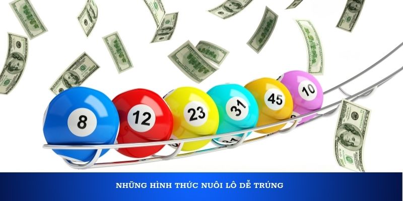 Những hình thức nuôi lô dễ trúng