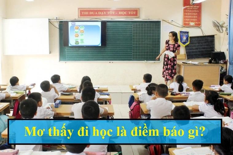 Mơ thấy đi học đánh con gì?