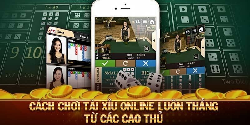 Sự thật về những cách chơi tài xỉu luôn thắng