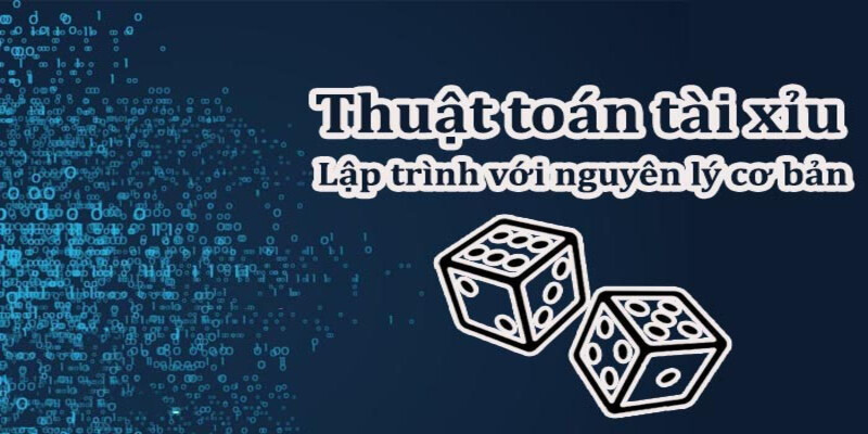 Lưu ý khi sử dụng thuật toán trong tài xỉu